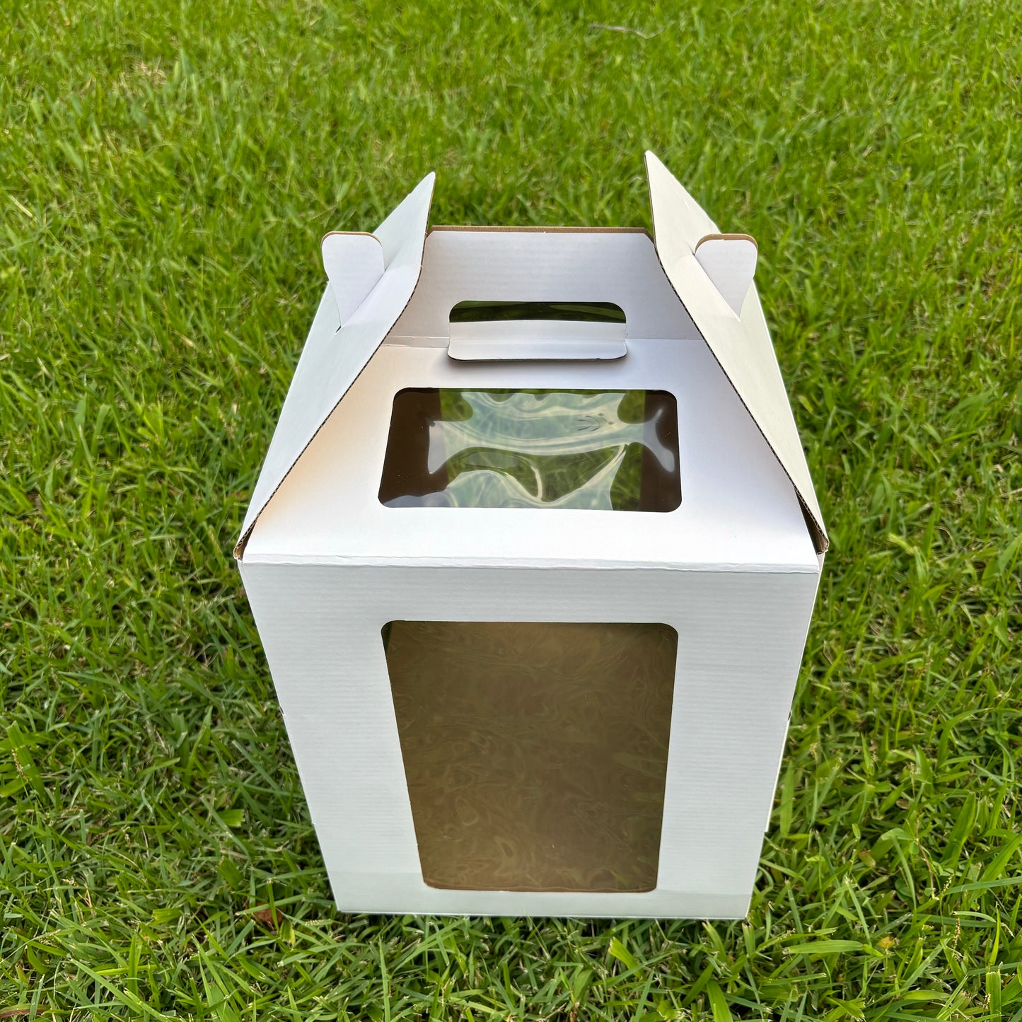 6 pcs 10in/12in white tall cake box with window