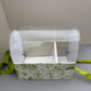 5 Boxes Green Flower & Cake Box