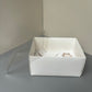 10 boxes 5-cupcakes & bento box with clear lid