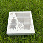 10 boxes 9-compartments white Christmas cookies box