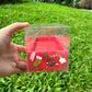 10 Boxes Christmas Cookies Clear Box with Paper Insert